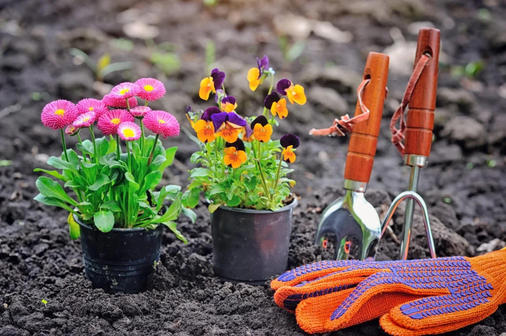 Garden help for the elderly reducing fall risks at home.