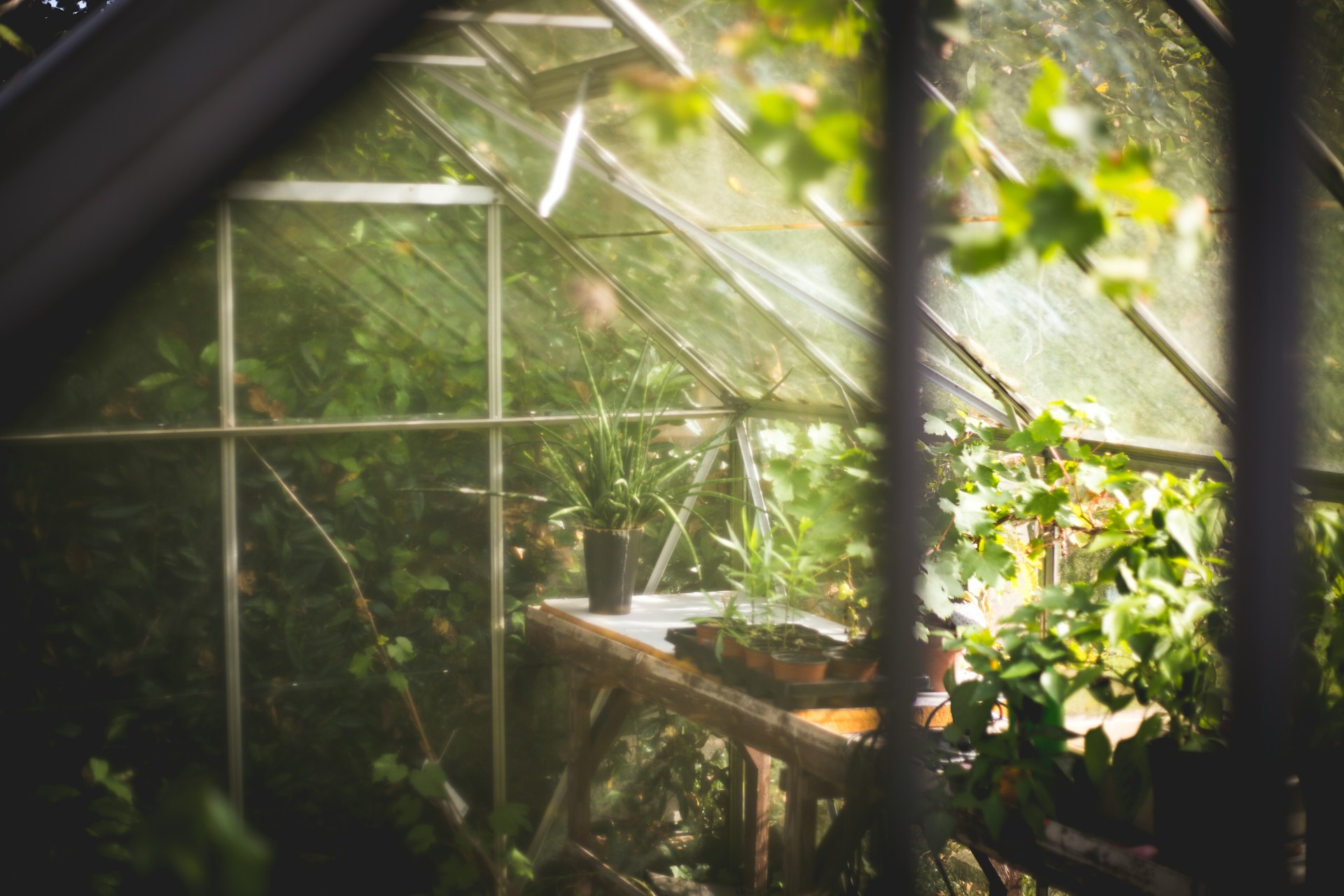 Garden support for older adults in rural Inverness and Aberdeenshire