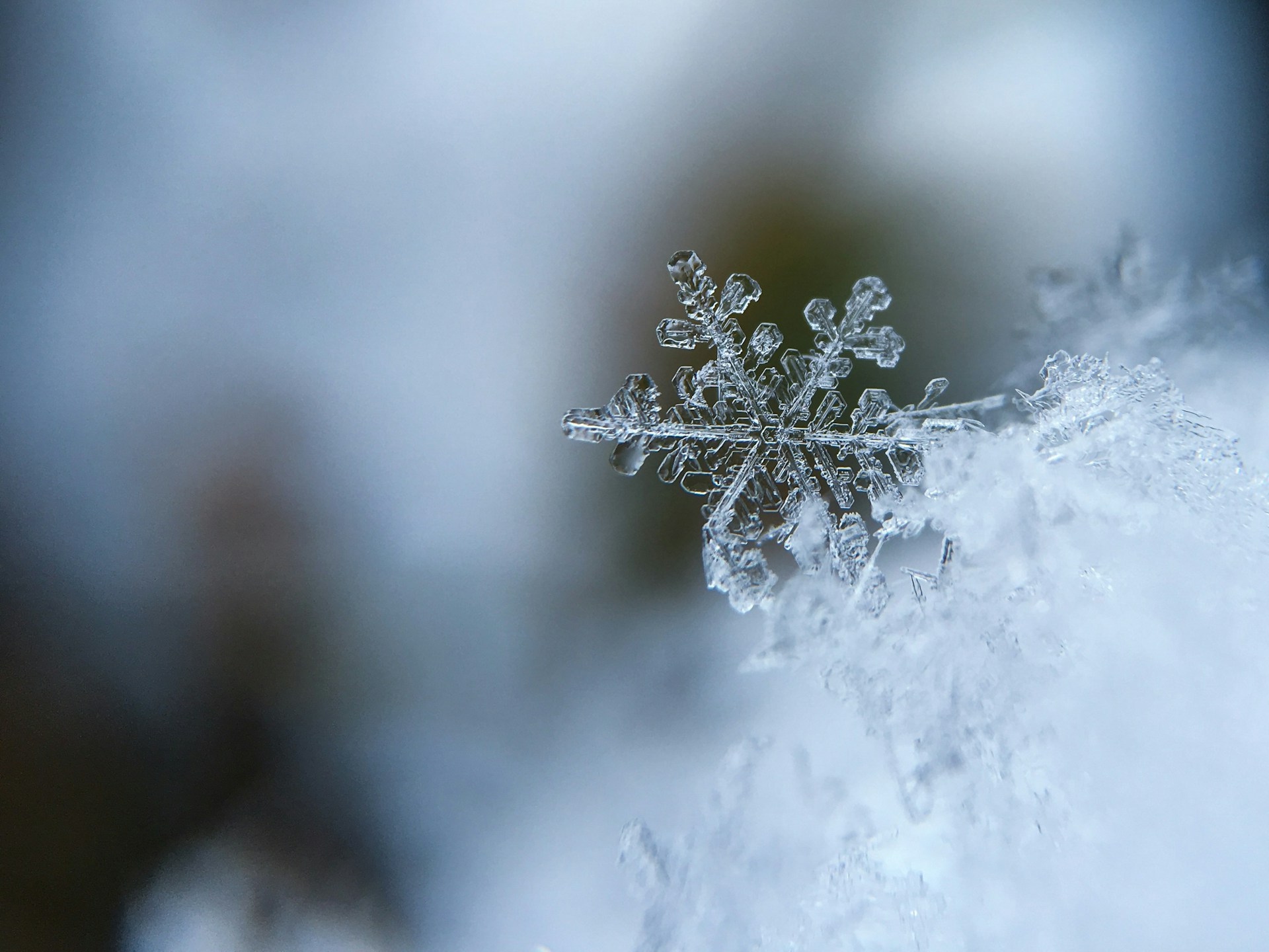 Winter household support helping older adults stay warm